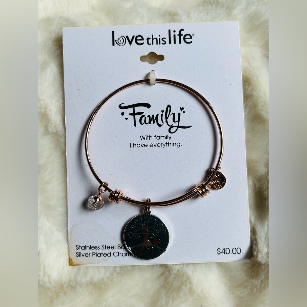 Love this Life Family bracelet silver plated, charms, NWT